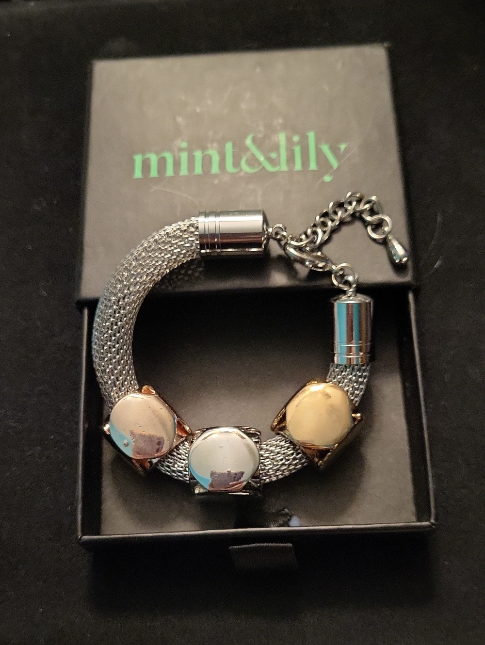 Mint & Lily Two-Tone Mesh Bracelet with Gold Accent Discs - Silver